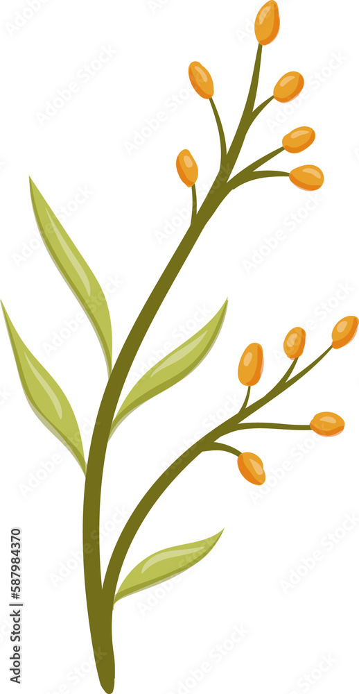 leaves yellow bud branch peonies flower nature flora