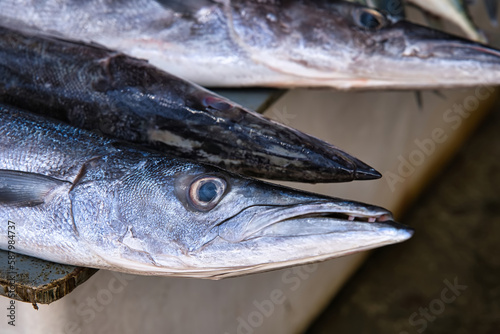 Closeup of baracuda fish head in victoria town market, Mahe Seychelles photo