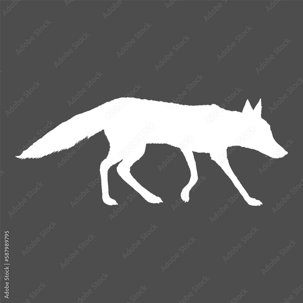 Obraz premium White Silhouette Walking Fox. Vector Illustration.