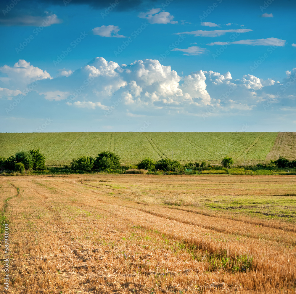 Wheat fields with stubble and green fields with patterns on a sunny summer day, agricultural landscapes at harvest time