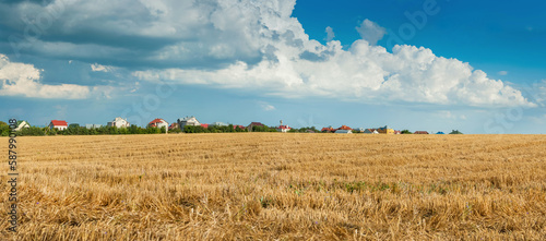 beautiful panorama of wheat field, dry stubble, beautiful clouds and village ...