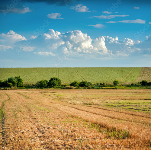 Wheat fields with stubble and green fields with patterns on a sunny summer da...