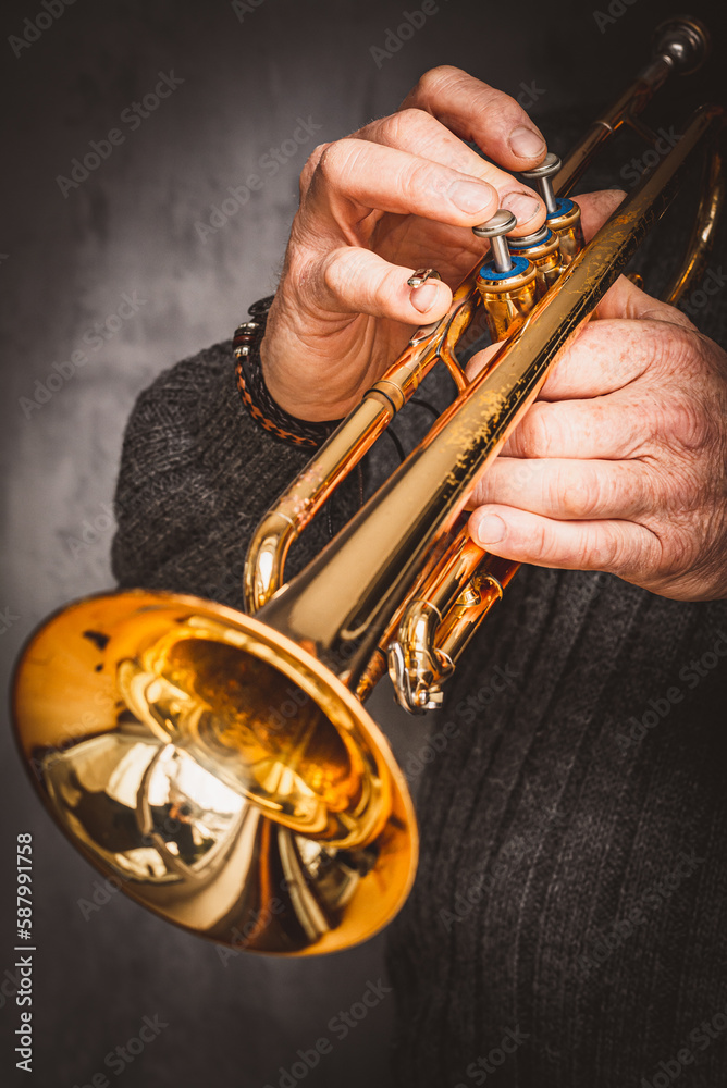 Obraz premium Trompete spielen