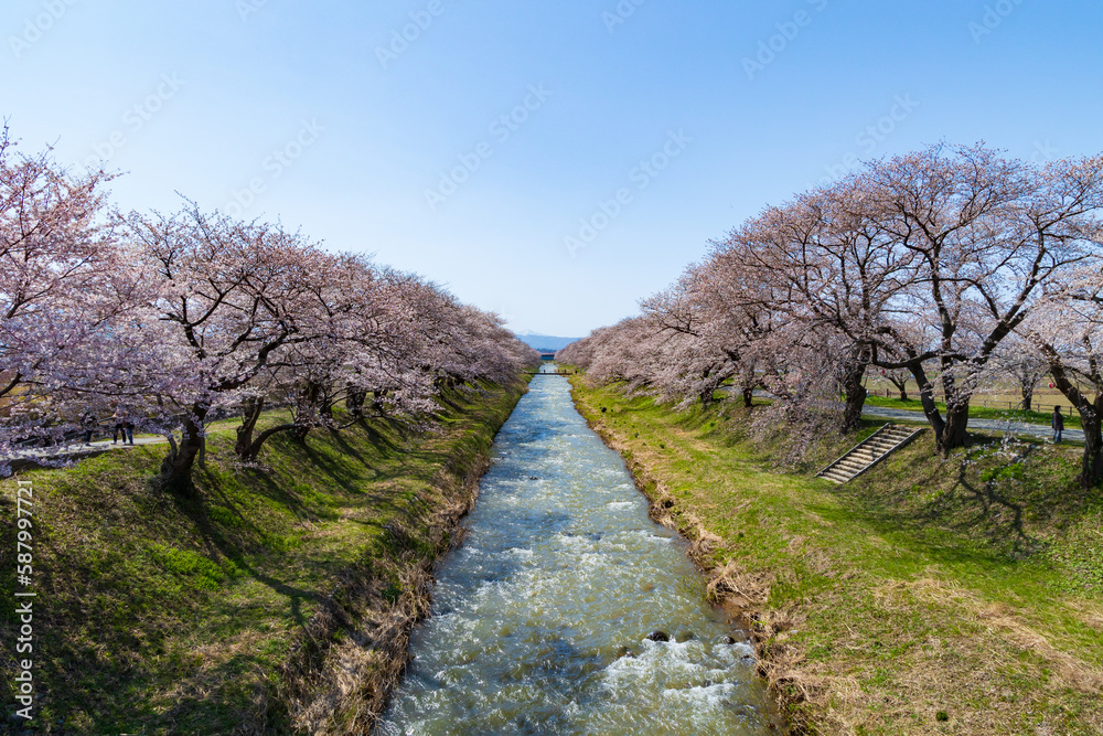 季節の花