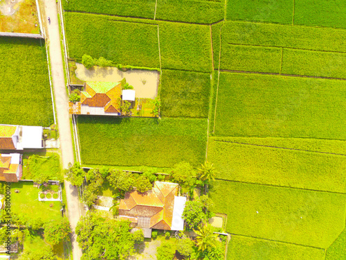 Bird's eyeview. Stunning aerial photography of some houses among the verdant rice fields in the city of Bandung - Indonesia photo