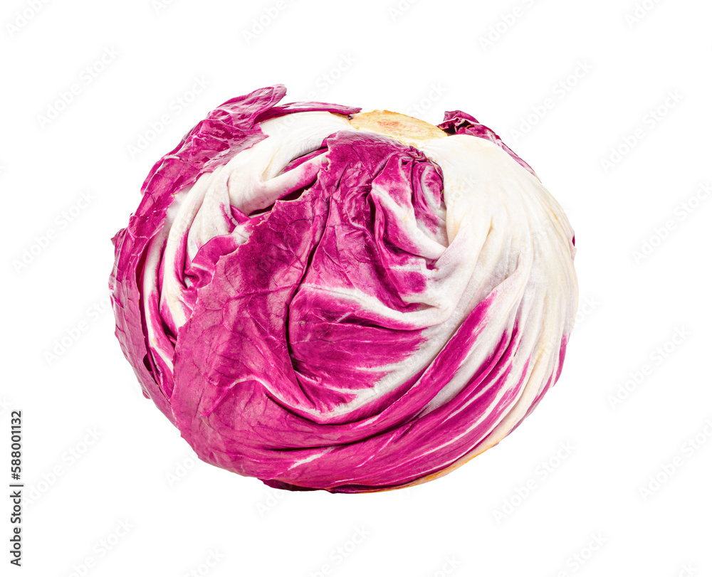 Fresh red radicchio isolated on transparent png