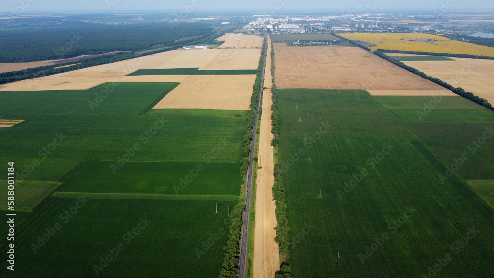 Beautiful panoramic view of many agricultural fields with different agricultural green plants and ripe yellow wheat, road with moving cars and city on summer day. Aerial drone. Agrarian crop landscape