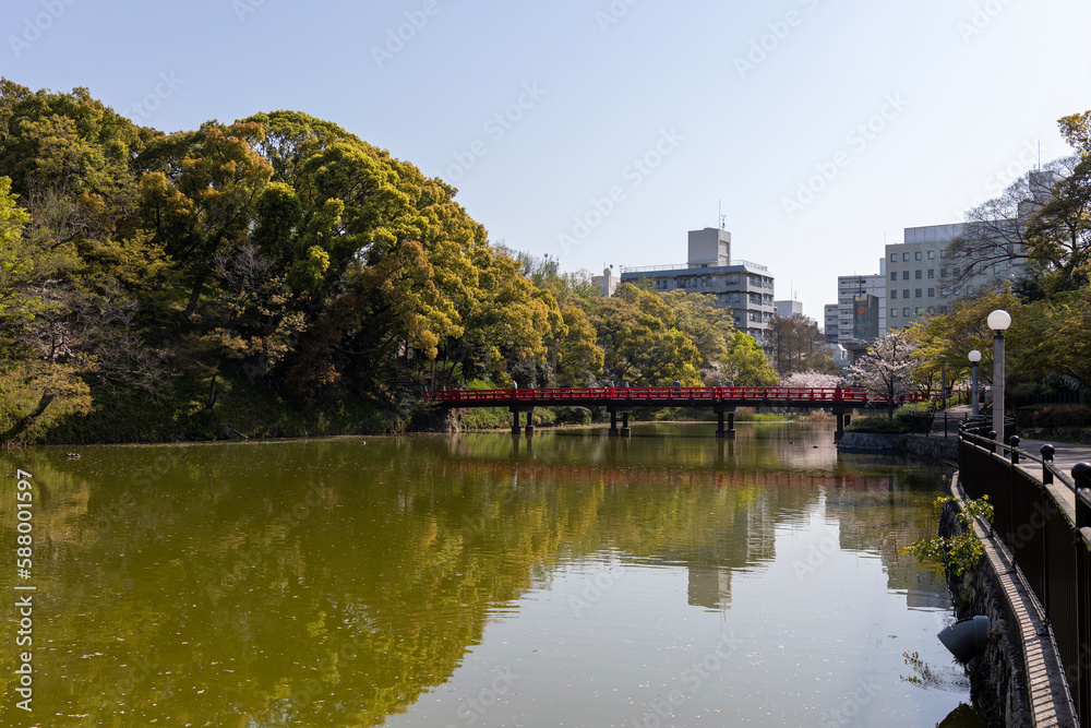 桜の咲く天王寺公園の河底池と茶臼山古墳（2023年4月1日撮影）