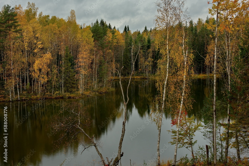 Russia. Republic of Karelia. Autumn colors on the shore of Lake Ladoga near the city of Sortavala.