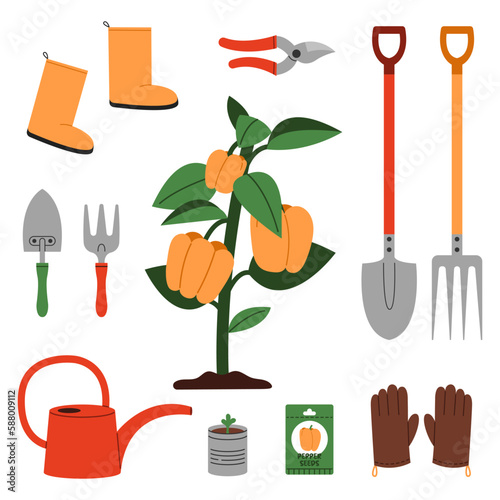A bell pepper bush surrounded by essential gardening tools to help grow peppers: shovel, seeds, watering can, gloves, rake, seedlings, pruner and other.