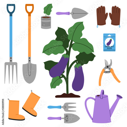 A eggplant bush surrounded by essential gardening tools to help grow eggplants: shovel, seeds, watering can, gloves, rake, seedlings, pruner and other.