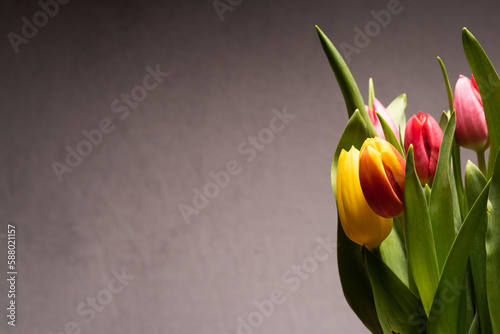 Half boquet of tulips photo