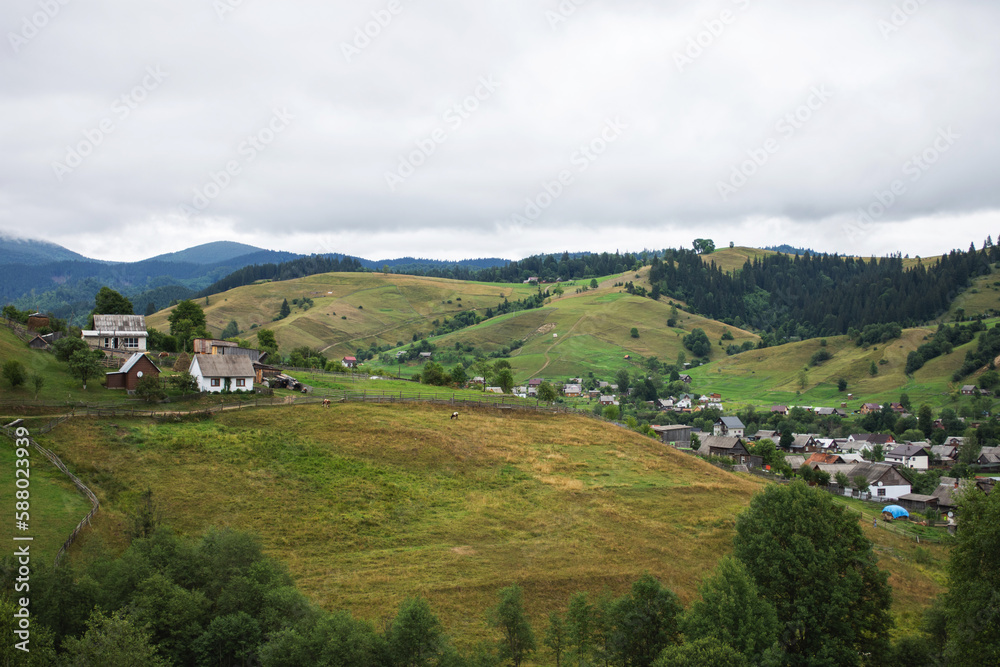 Traditional ukrainian houses in mountain village in summer. Mountain valley in Ukraine. Rural landscape with buildings, green grass, trees on the hill