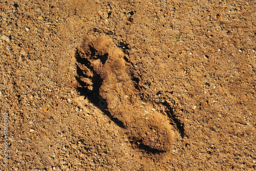 A single deep footprint left in hardened soil