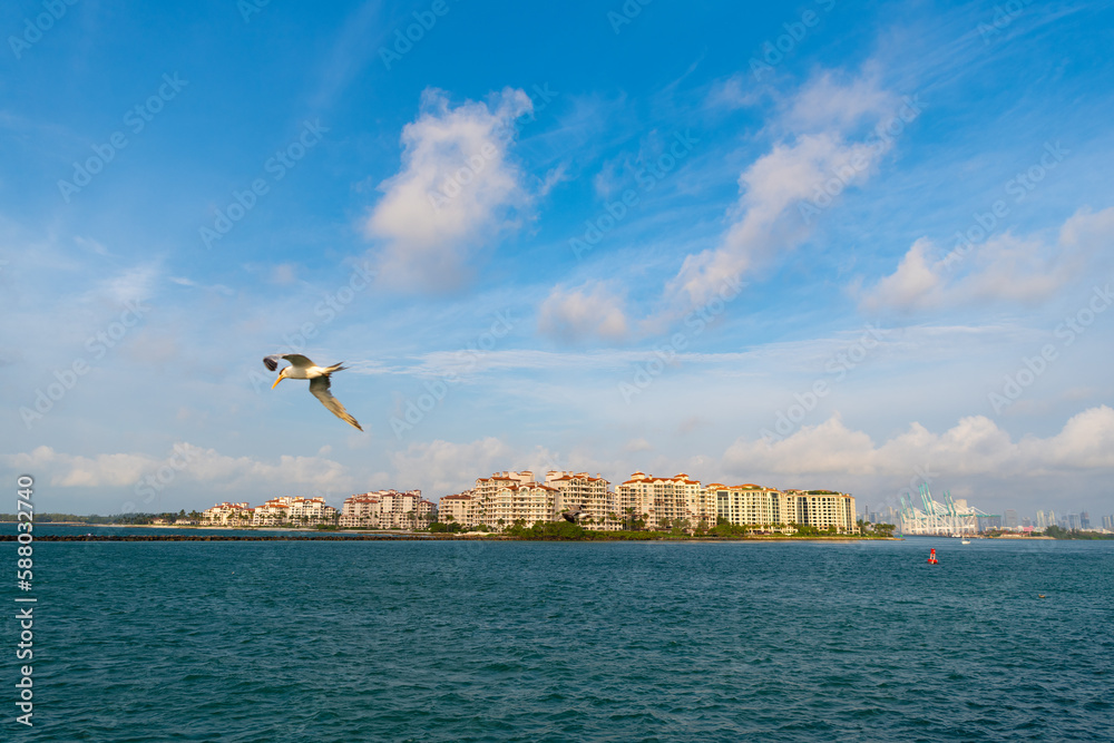 Fototapeta premium seagull in downtown cityscape with buildings. downtown cityscape architecture.