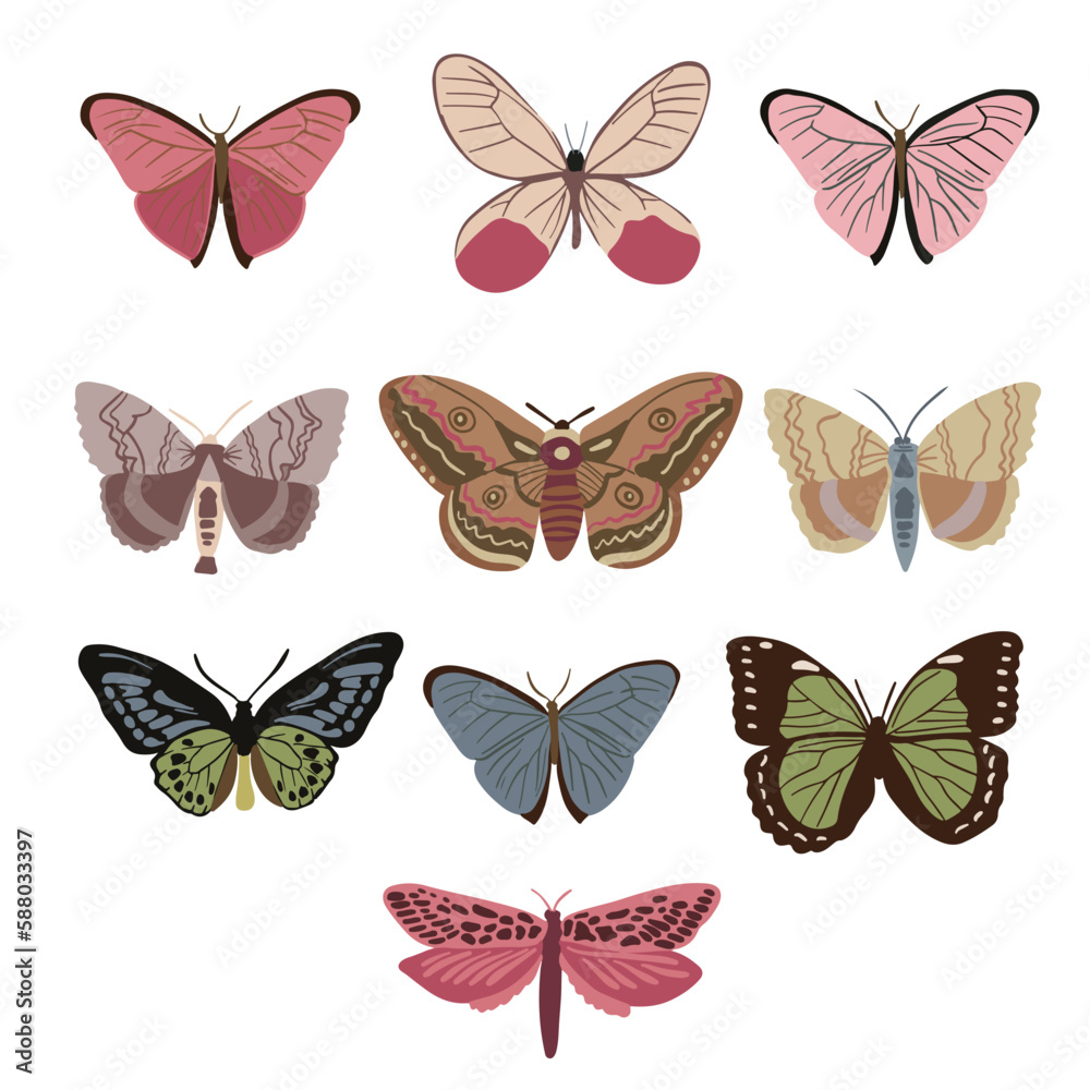 sets of beautiful moth and butterfly, good for graphic design resources sets of beautiful moth and butterfly, good for graphic design resources