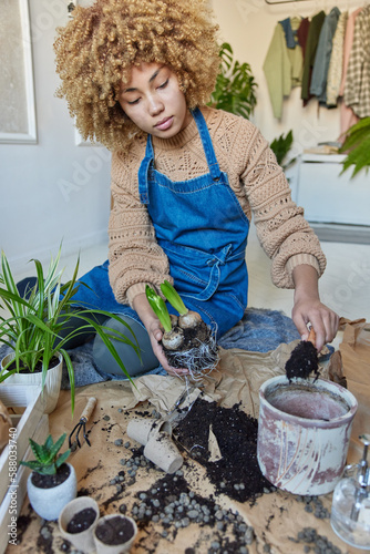 Indoor shot of serious curly haired woman takes care of houseplant holds bulb plant with roots uses shovel to put soil in pot wears knitted jumper and denim sarafan replants flowers. Botany concept