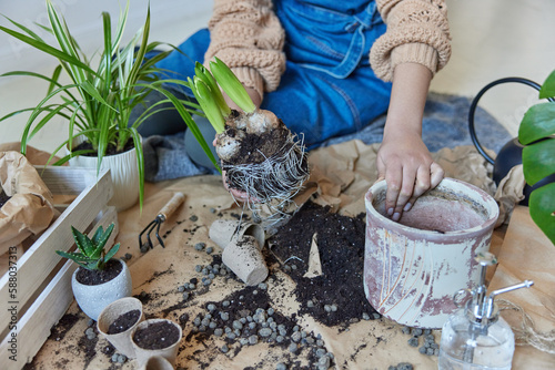 Unrecognizable woman sits on floor surrounded by potted pots holds bulb plants with roots transplants enjoys home gardening works at home. Houseplant care concept. Botanist work in orangery.
