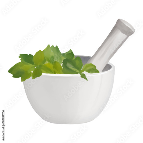 White Ceramic Mortar and Pestle with Herbs Isolated Hand Drawn Painting Illustration
