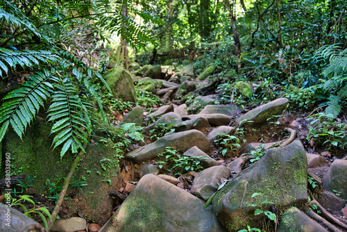 Morn blanc nature trail, rocks to hike on on the nature trail, Mahe Seychelles