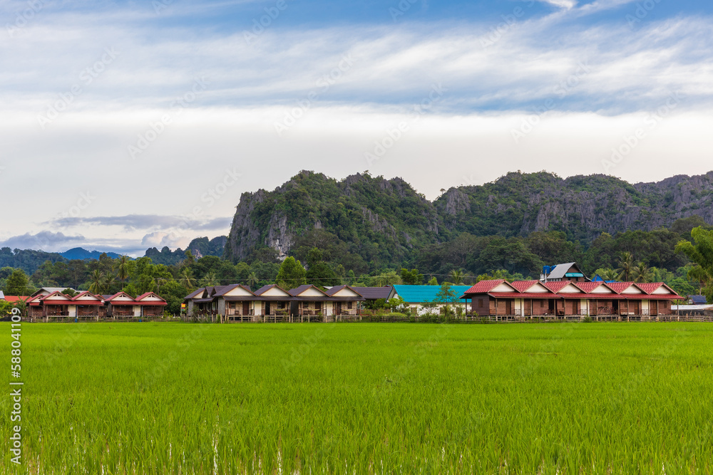Farmer's village in rural of Laos.