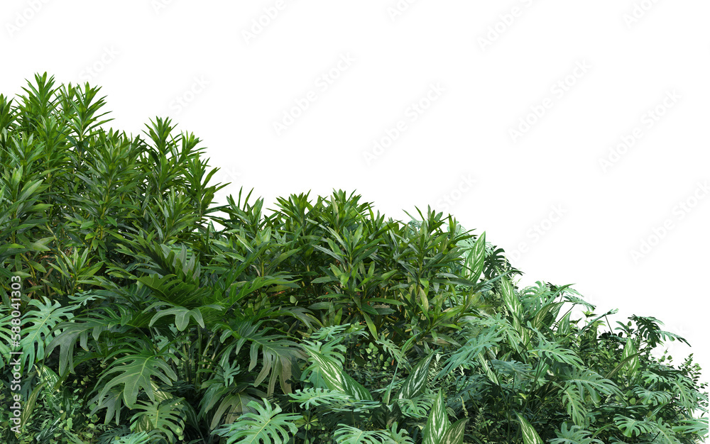 A small garden with a variety of plants on a transparent background. A small garden with a variety of plants on a transparent background.
