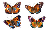 set of butterflies on a transparent background For decorating projects easily. generative AI