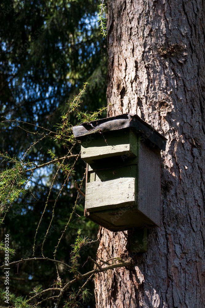 Vogelhaus, Nistkasten hängt hoch oben an einem Baumstamm im Wald Vogelhaus, Nistkasten hängt hoch oben an einem Baumstamm im Wald