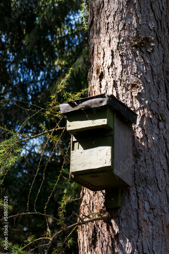 Vogelhaus, Nistkasten hängt hoch oben an einem Baumstamm im Wald