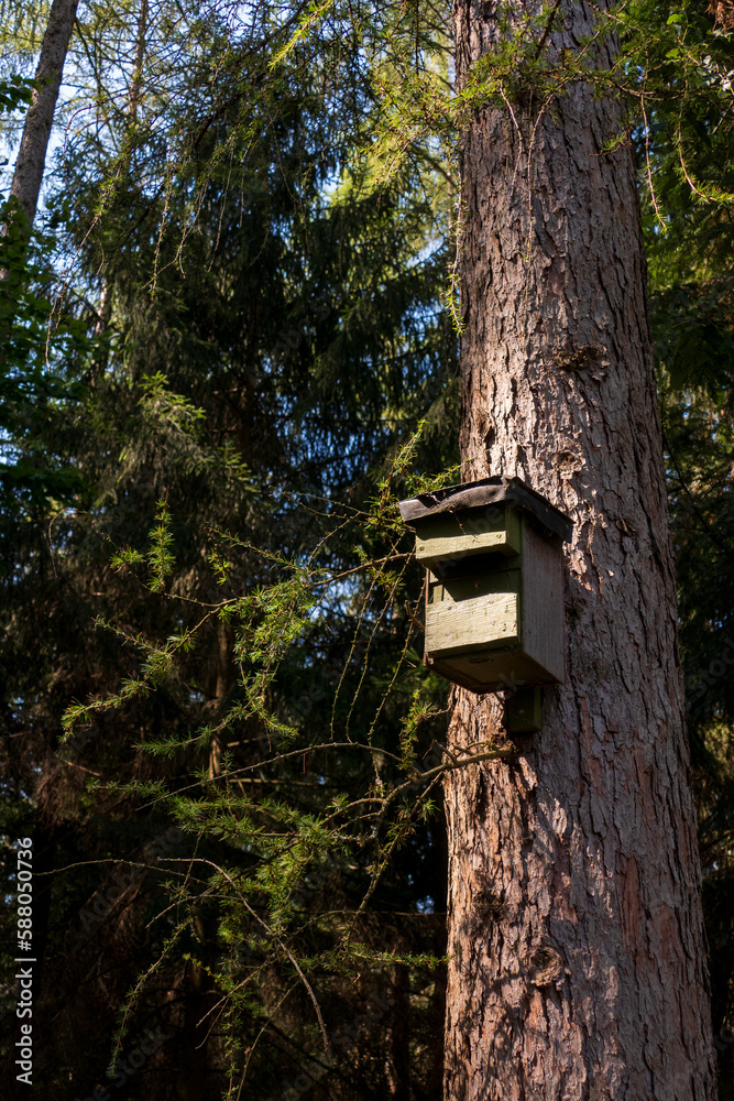 Vogelhaus, Nistkasten hängt hoch oben an einem Baumstamm im Wald Vogelhaus, Nistkasten hängt hoch oben an einem Baumstamm im Wald
