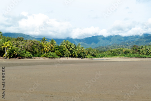 Fototapeta Naklejka Na Ścianę i Meble -  tropical sandy beach in Costa Rica with jungle in background