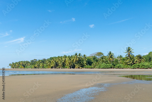 tropical sandy beach in Costa Rica with jungle in background