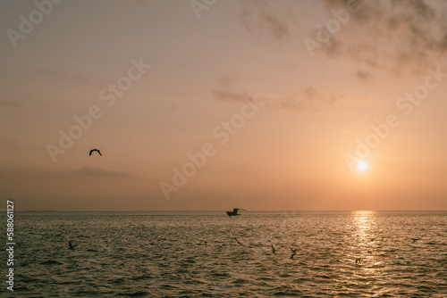 Seagulls flying over the ocean at sunset