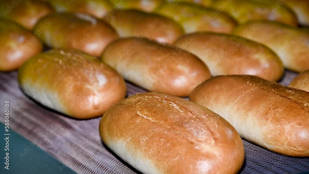 Loafs of bread in a bakery on an automated conveyor belt Loafs of bread in a bakery on an automated conveyor belt