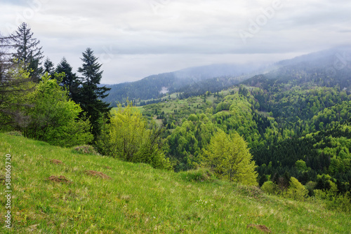 green spring mountain landscape with fields. carpathian countryside scenery on a cloudy morning