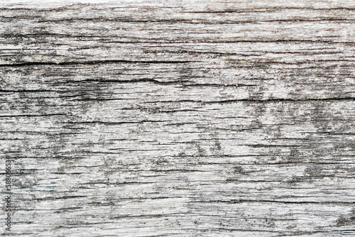 White and gray wood background texture. Abstract wooden backdrop with space for text