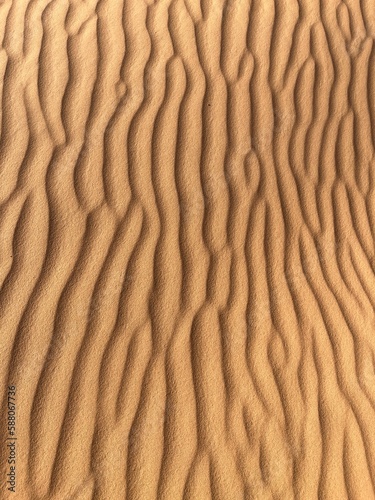 Dunes in the Sahara desert, Merzouga desert, grains of sand forming small waves on the dunes, panoramic view. Setting sun. Morocco. Texture, background 