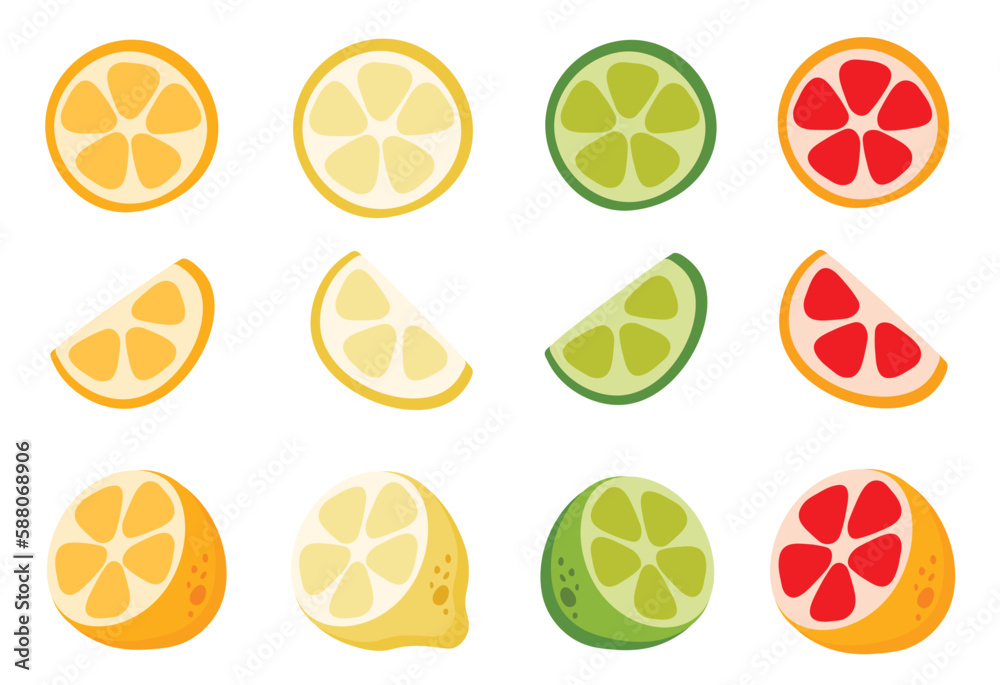 Big set of citrus elements. Summer fruit collection. Cute cartoon vector illustration