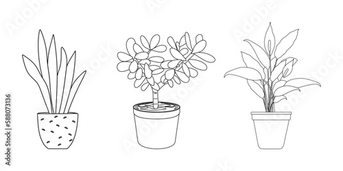 Hand drawn set of house plant in a pot. Outline room plant collection. vector illustration