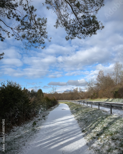Wallpaper Mural Spaziergang an klarem Wintertag Torontodigital.ca