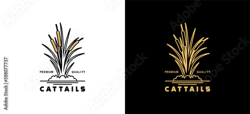 Cattail logo design with minimalist abstract luxury striped style