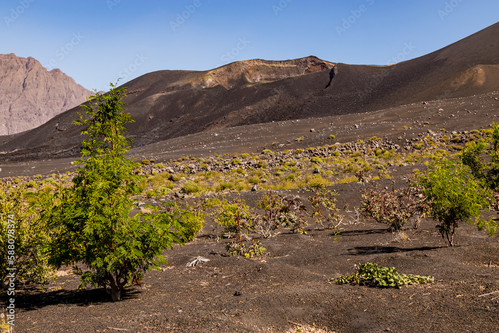 A flank of the volcano Pico do Fogo on the Cape Verde, Africa, covered with rocks and lava boulders