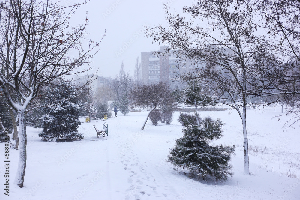 Odesa, Ukraine, Winter snow-covered park Odesa, Ukraine, Winter snow-covered park