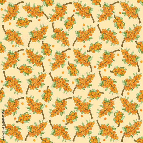 Sea buckthorn seamless pattern. Bright sea buckthorn berries, twigs and leaves. Vector outline drawn illustration. Designed to create package of health, beauty natural products