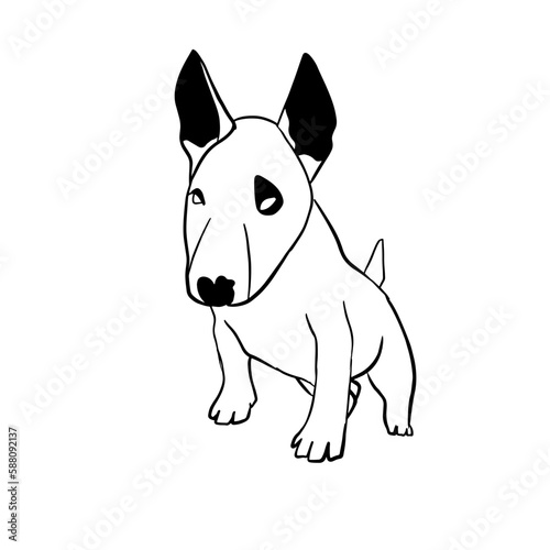 Vector hand drawn illustration of bull terrier  line art