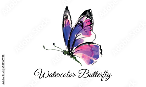 Watercolor Butterfly, butterfly on the flowers, butterflies, Lovely watercolor Butterfly, butterflies design.