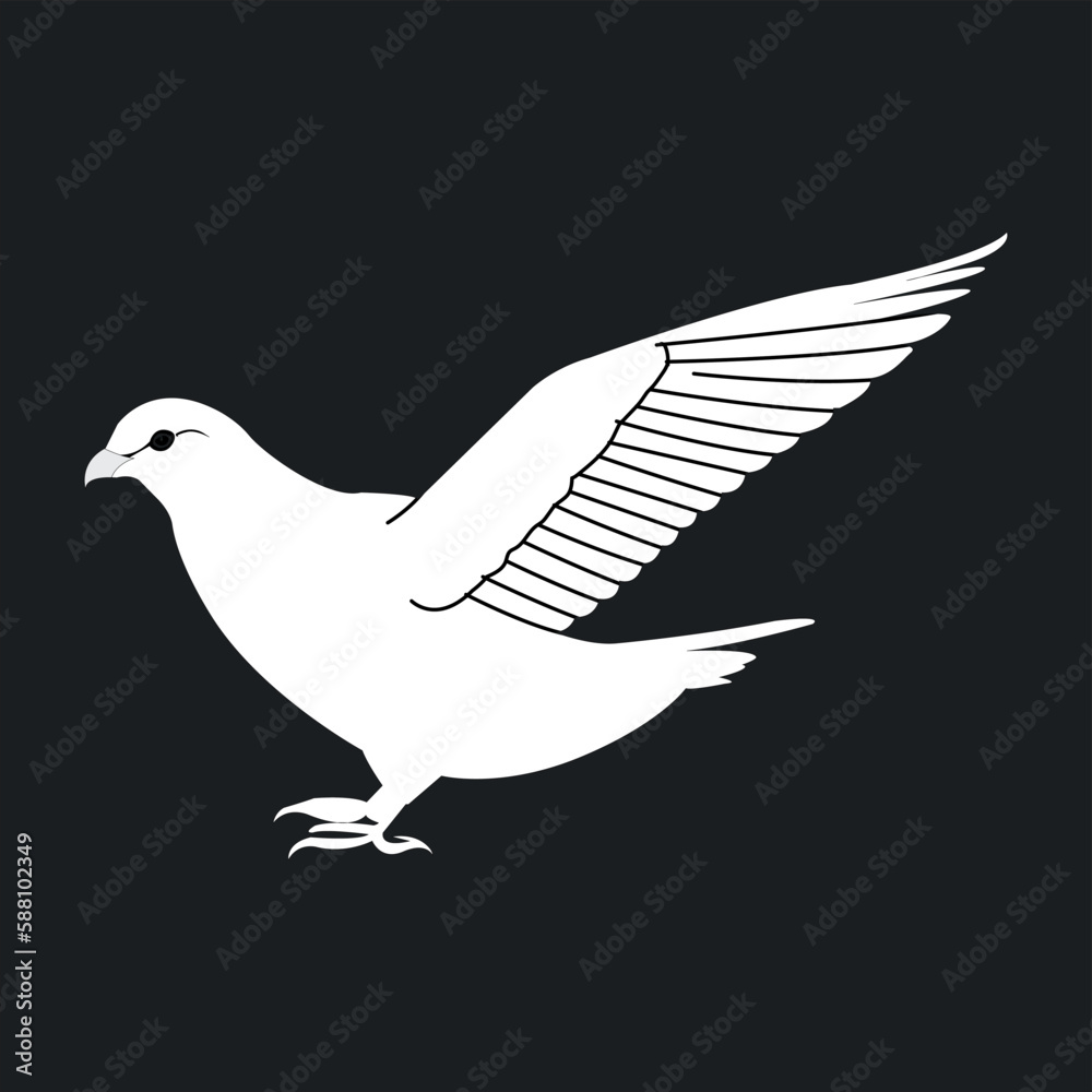  A Beautiful and Eye catching Pigeons Funny Look line art in Black and white