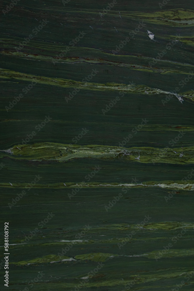 Green natural Verde Dorato marble texture close up