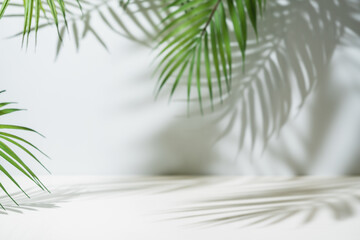background with palm shadow