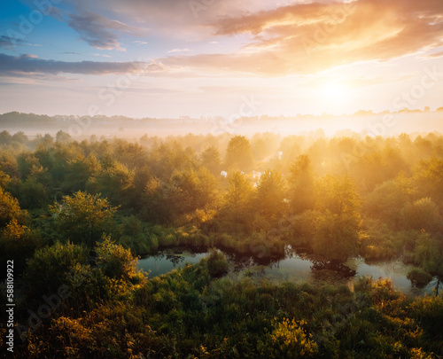 Wetlands and impassable expanses of wild territory in the morning sunlight. Seret River, Ukraine, Europe.